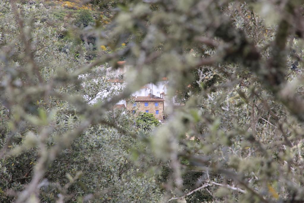 Campus Natura Alojamento de Acomodação e Pequeno-almoço Arganil
